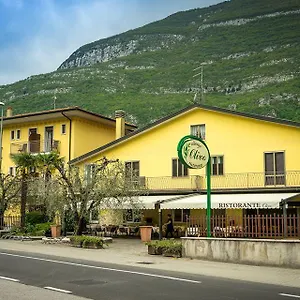 Olivo Italie